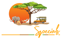 Kruger-Specials-Logo-200-1
