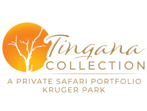 Tingana CollectionScaled