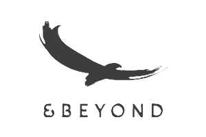 andBeyond
